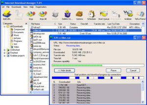 Internet Download Manager 6.03 Beta 6