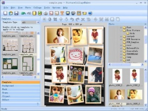 Picture Collage Maker Professional 2.4.4.3181