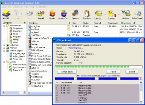 Internet Download Manager 6.03 Beta 10 