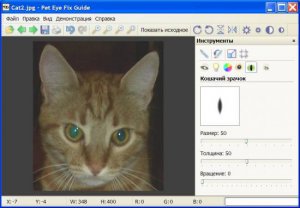Pet Eye Fix Guide 1.1