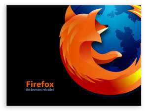 Mozilla Firefox 3.6.13 RC1 