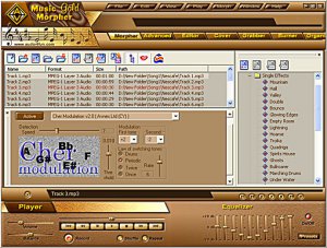 AV Music Morpher Gold 5.0.49